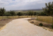 Country house with land for sale on España, Coto de Bornos, ref: TR336480 photo