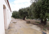 Country house with land for sale on España, Coto de Bornos, ref: TR336480 photo