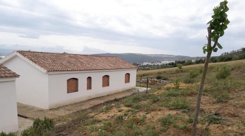Cadiz - Bornos - 25524m2