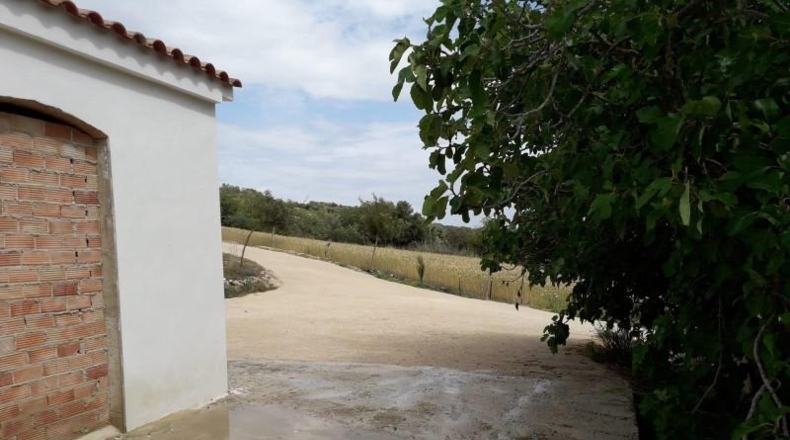 Cadiz - Bornos - 25524m2
