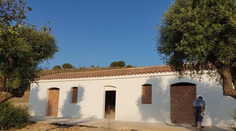 Cadiz - Bornos - 25524m2