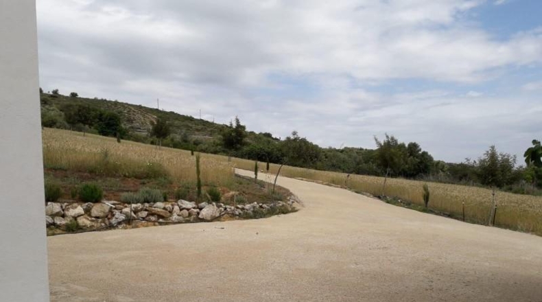 Cadiz - Bornos - 25524m2