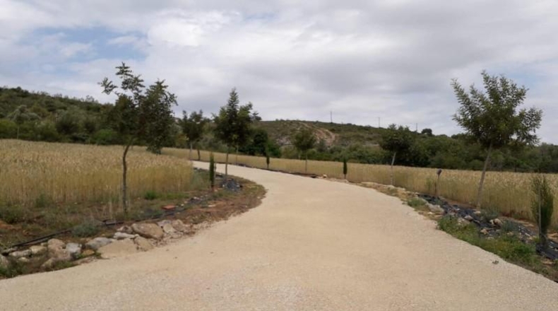 Cadiz - Bornos - 25524m2