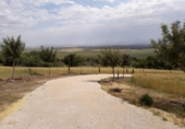 Country house with land for sale on España, Coto de Bornos, ref: TR336480 photo