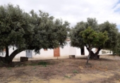 Country house with land for sale on España, Coto de Bornos, ref: TR336480 photo