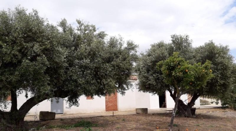 Cadiz - Bornos - 25524m2