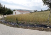 Country house with land for sale on España, Coto de Bornos, ref: TR336480 photo