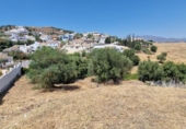 Land suitable for development for sale on España, Campo-Mijas, ref: TR341953 photo
