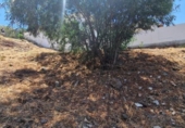Land suitable for development for sale on España, Campo-Mijas, ref: TR341953 photo