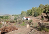Non-developable land for sale on España, Callosa d'en Sarrià, ref: TR320732 photo
