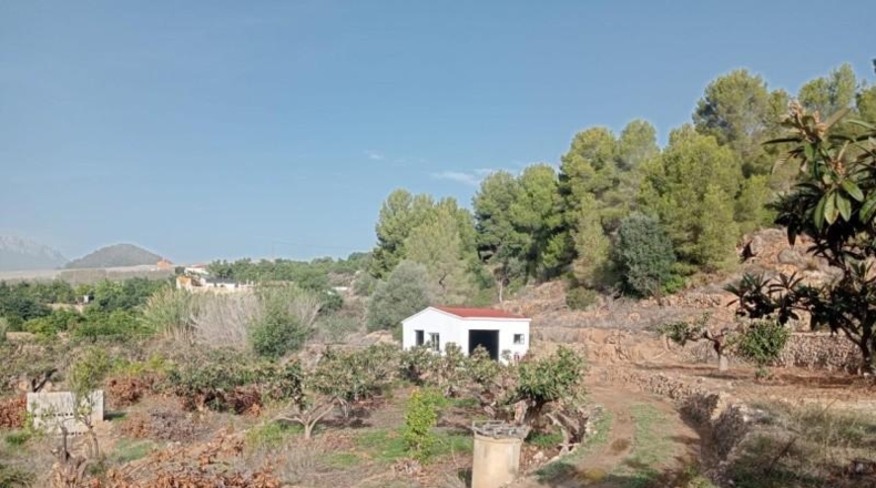 Alicante - Callosa de Ensarriá - 7700m2