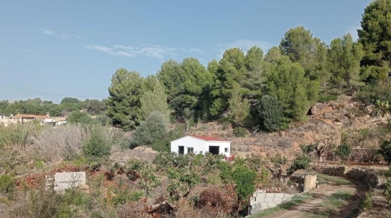 Alicante - Callosa de Ensarriá - 7700m2