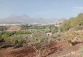 Non-developable land for sale on España, Callosa d'en Sarrià, ref: TR320732 photo