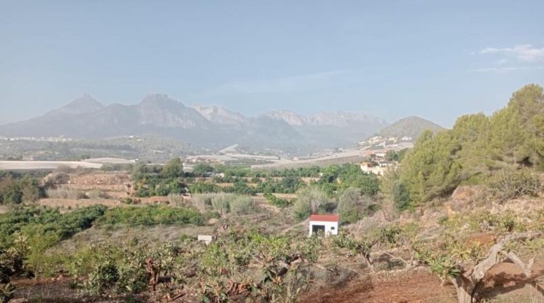 Alicante - Callosa de Ensarriá - 7700m2