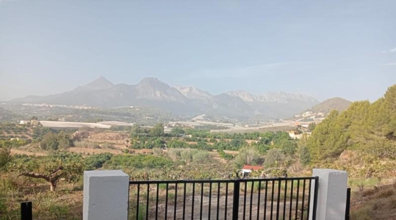 Alicante - Callosa de Ensarriá - 7700m2