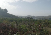 Non-developable land for sale on España, Callosa d'en Sarrià, ref: TR320732 photo