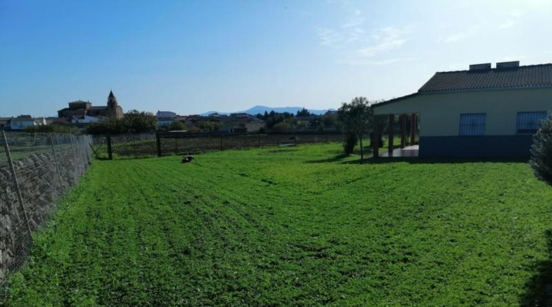 Касерес - Torremocha - 5900m2