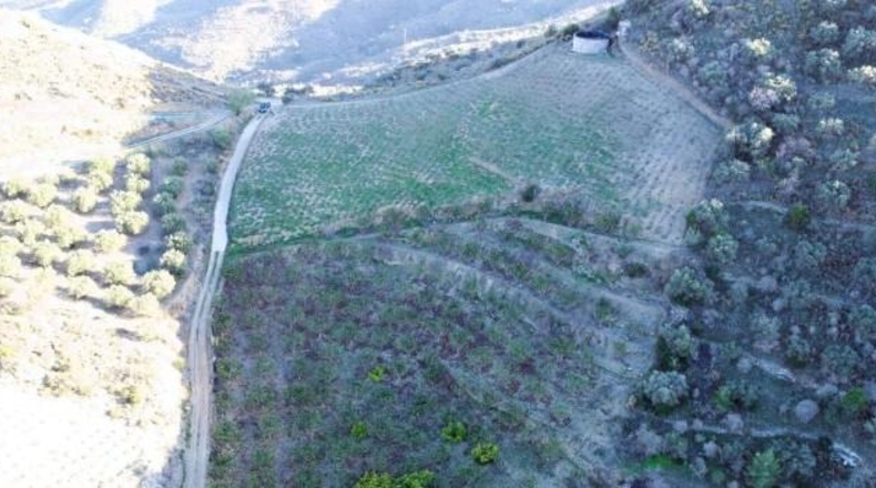 Castellón - Almenara - 20049m2