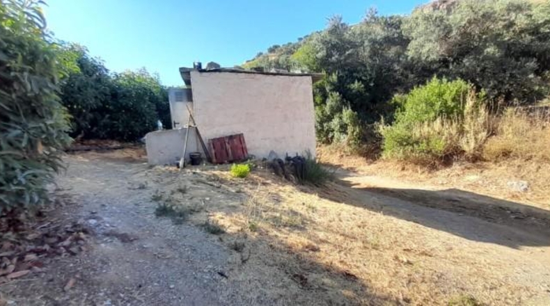 Castellón - Almenara - 20049m2