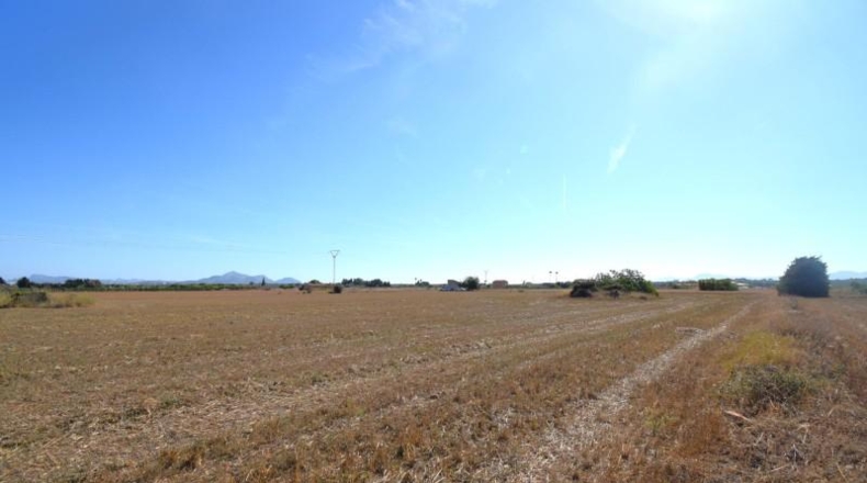 Islas Baleares - Muro - 15324m2