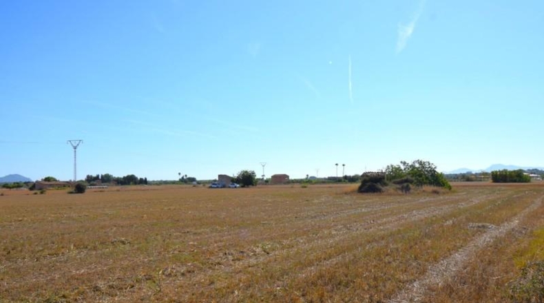 Islas Baleares - Muro - 15324m2