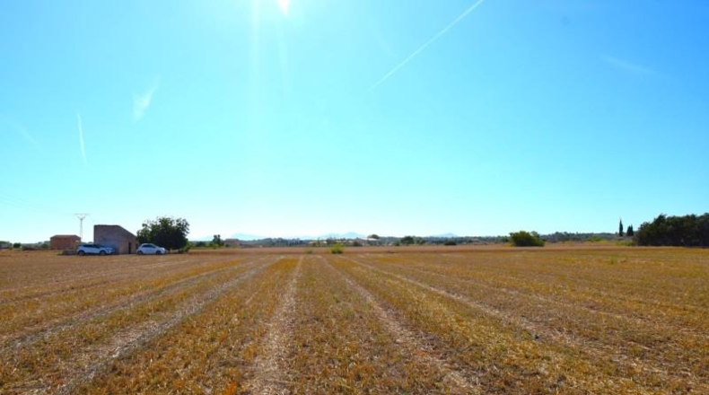 Islas Baleares - Muro - 15324m2