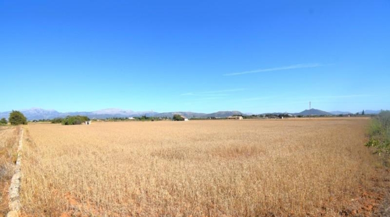 Islas Baleares - Muro - 15324m2
