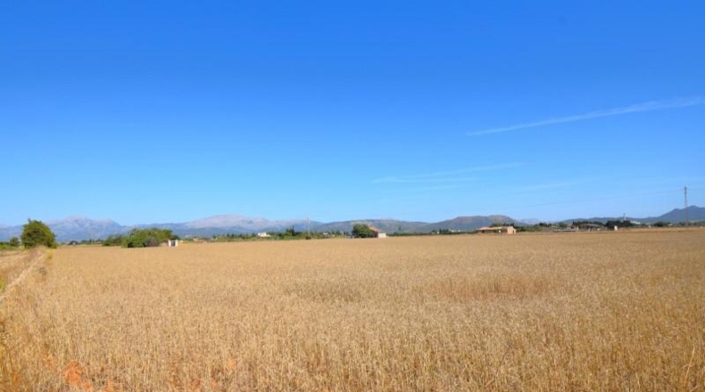 Islas Baleares - Muro - 15324m2