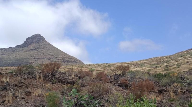 Santa Cruz de Tenerife - Arona - 126800m2