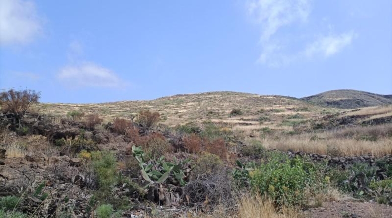 Santa Cruz de Tenerife - Arona - 126800m2