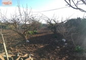 Casa de camp amb terreny en venda a la España, Pulpí, ref.: TR142337 foto