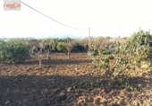 Casa de camp amb terreny en venda a la España, Pulpí, ref.: TR142337 foto