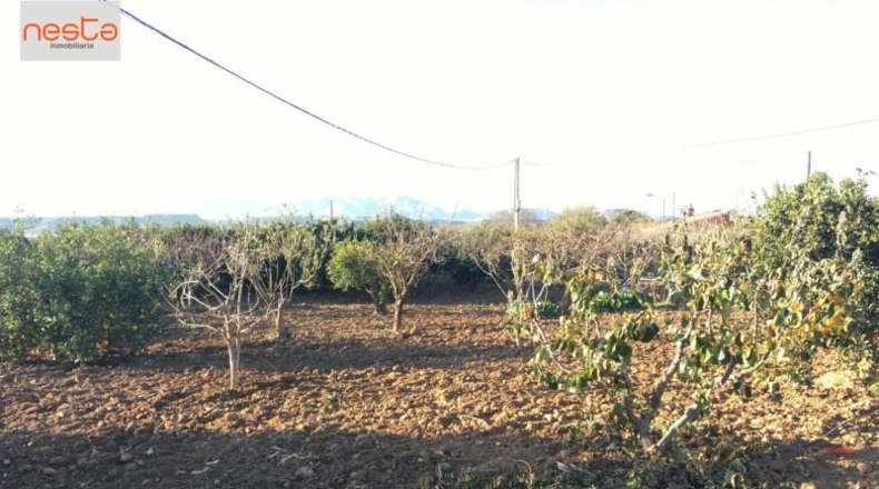 Almería - Pulpí - 11407m2