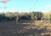 Casa de camp amb terreny en venda a la España, Pulpí, ref.: TR142337 foto