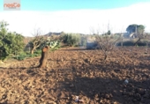 Casa de camp amb terreny en venda a la España, Pulpí, ref.: TR142337 foto