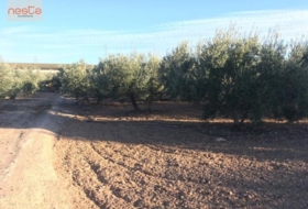 Foto 13