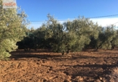 Casa de camp amb terreny en venda a la España, Pulpí, ref.: TR142337 foto