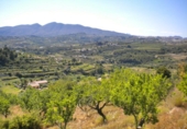 Terreno no urbanizable en venta en la España, Benissa, ref: TR121051 foto