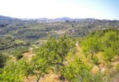 Terreno no urbanizable en venta en la España, Benissa, ref: TR121051 foto