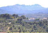 Terreno no urbanizable en venta en la España, Benissa, ref: TR121051 foto