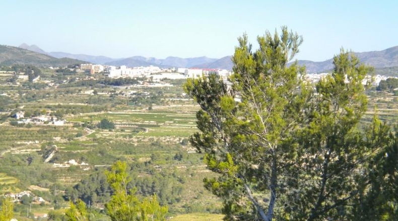 Alicante - Benisa - 15m2