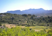 Terreno no urbanizable en venta en la España, Benissa, ref: TR121051 foto