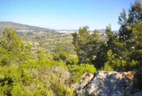 Foto 16