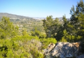 Terreno no urbanizable en venta en la España, Benissa, ref: TR121051 foto