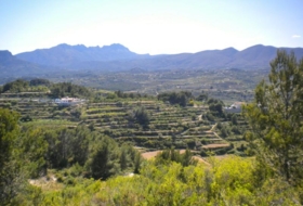 Foto 18
