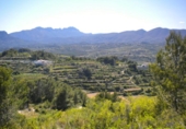 Terreno no urbanizable en venta en la España, Benissa, ref: TR121051 foto