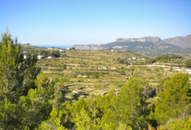 Foto 19
