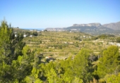 Terreno no urbanizable en venta en la España, Benissa, ref: TR121051 foto
