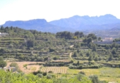Terreno no urbanizable en venta en la España, Benissa, ref: TR121051 foto