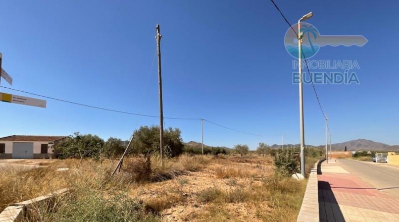 Murcia - Fuente Álamo de Murcia - 221m2